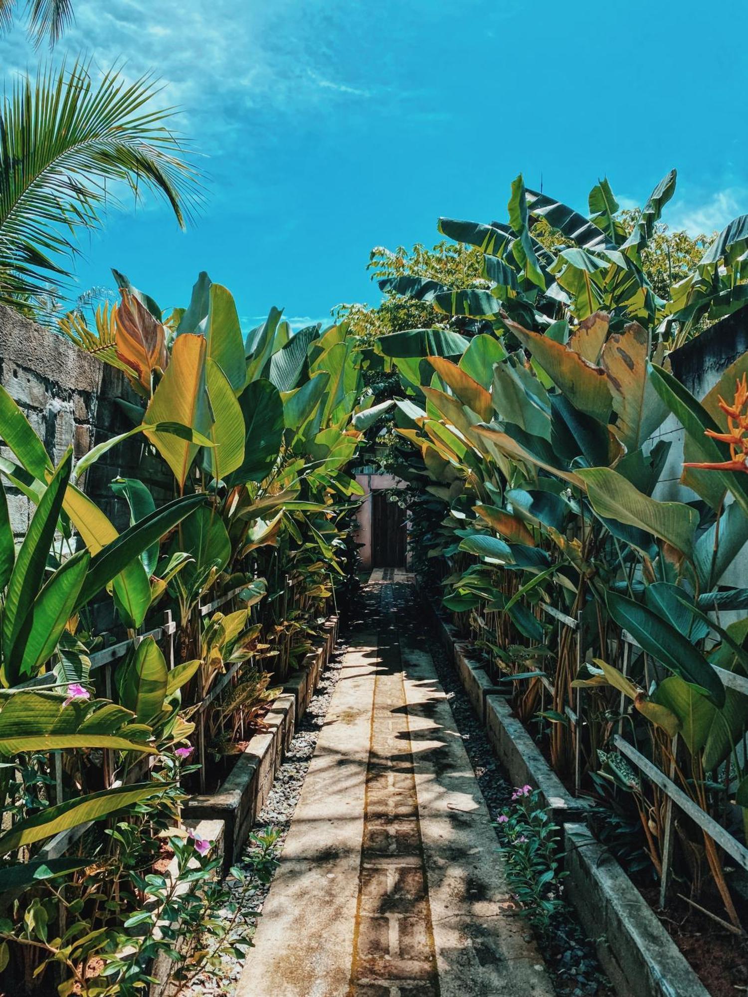 Basa-Basi Lodge Karimunjawa Zewnętrze zdjęcie