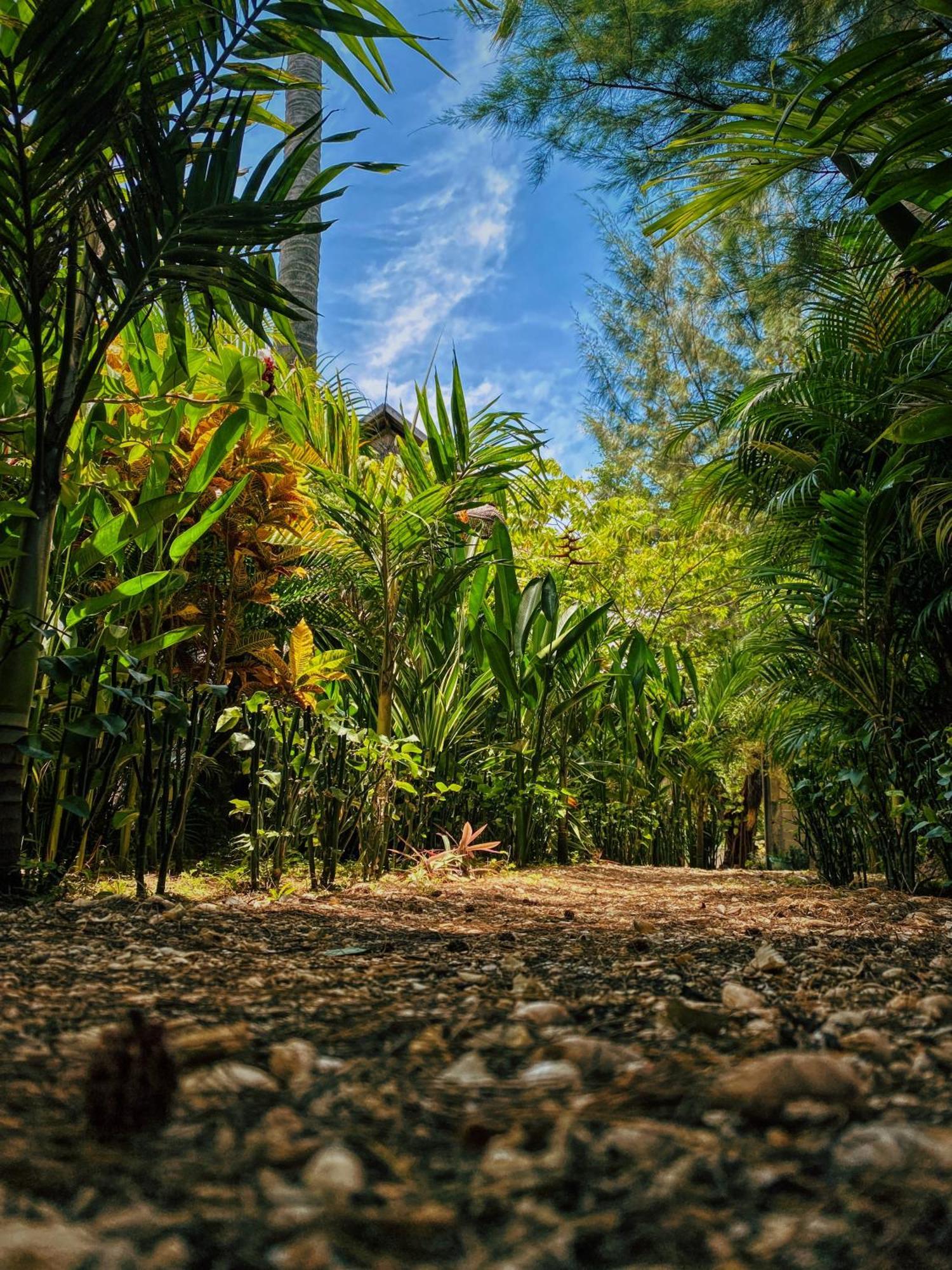 Basa-Basi Lodge Karimunjawa Zewnętrze zdjęcie